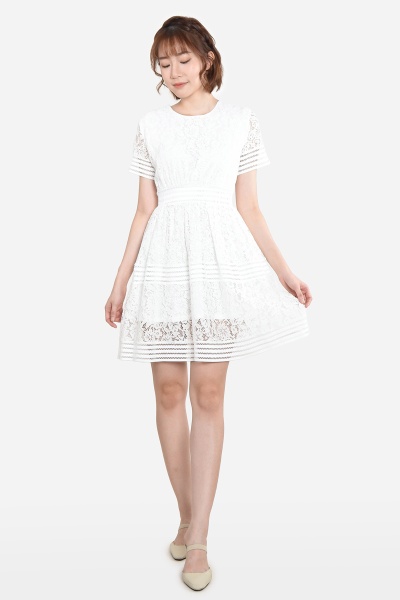 Florine Lace Skater Dress
